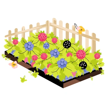 A garden scene featuring vibrant rows of berry plants in full bloom. The plants showcase clusters of colorful berries, including red strawberries, blue blueberries, and dark purple blackberries. Lush green leaves surround each plant, creating a rich tapestry of colors. A wooden fence lines the garden, adding structure to the scene. Soft sunlight casts gentle shadows across the rows, highlighting the freshness of the blooming berries. A butterfly flutters nearby, adding a touch of life to the tranquil garden setting.