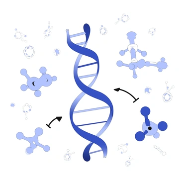 An illustration depicting RNA interference with silencing complexes. In the center, there is a strand of double-stranded RNA, with individual strands visibly winding together. Surrounding the RNA are several silencing complexes, represented as cluster-like formations with distinct shapes. The complexes are shown binding to the RNA, with arrows illustrating the process of silencing gene expression. The background includes various molecular structures to convey a scientific atmosphere.