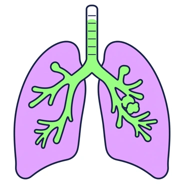 A detailed view of human lungs is depicted, focusing on the intricate structure of the bronchioles and alveoli. The lungs are shown in a semi-transparent manner, revealing the branching network of bronchioles that leads to clusters of tiny alveoli. The bronchioles are narrow tubes branching from the larger bronchi, displaying a smooth, curved appearance. Surrounding the bronchioles, the alveoli are presented as small, balloon-like sacs, illustrating their role in gas exchange. The alveoli cluster together, their surfaces textured to highlight the thin walls for optimal exchange of oxygen and carbon dioxide.