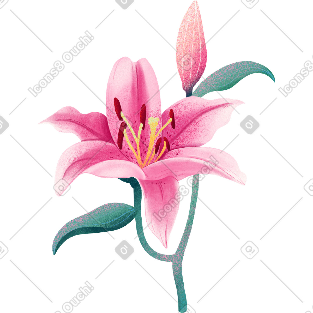Floral スタイルの Pink lily flower with bud のイラストをPNG、SVG形式でダウンロード