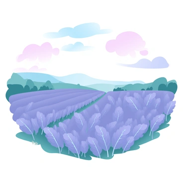 Endless rows of fragrant lavender fields under a pastel sky