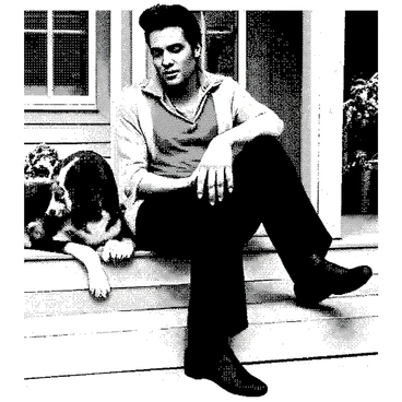Elvis Presley is seated on a wooden porch, his relaxed posture suggesting a moment of leisure. He has slicked-back dark hair and is dressed in a classic outfit. Beside him is a hound dog, featuring droopy ears and a long body, lying comfortably against his leg. The porch has wooden planks, and there are a few potted plants nearby, adding to the homely atmosphere. Both figures are facing forward, embodying a sense of calm and companionship in this intimate setting.