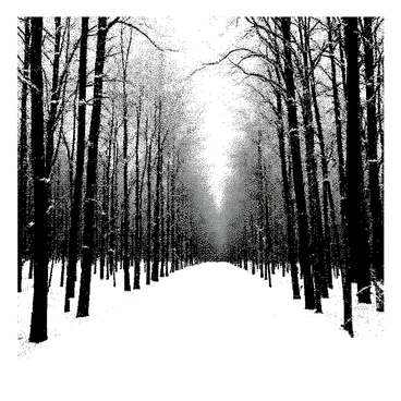 A vintage forest is blanketed in snow. The trees are tall and covered in frost, their branches heavy with the weight of the snow. The ground is a thick layer of white, creating a soft and muffled environment. The overall composition is tranquil, with no signs of wildlife or human presence.