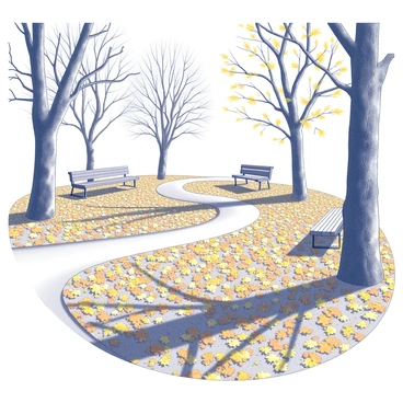A park filled with a thick carpet of fallen leaves. The ground is densely covered with leaves in shades of yellow, orange, and brown. Trees with bare branches stand tall, their trunks rough and textured. Some trees show remnants of leaves clinging to their branches, while others are completely bare. A winding path can be seen, leading through the park, bordered by benches that invite visitors to sit and enjoy the scenery. Shadow patterns from the trees create a contrast with the ground covered in leaves.