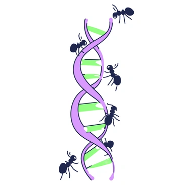 A double helix DNA strand is prominently displayed in the center of the image. The DNA has clearly defined twists and turns, showcasing its spiraled structure. Along the strands, several ants are seen crawling, with some climbing up and others coming down. The ants are detailed, with visible legs and antennae, contrasting against the smooth texture of the DNA. The background is minimal, ensuring that both the DNA strand and the ants are the focal points of the composition.