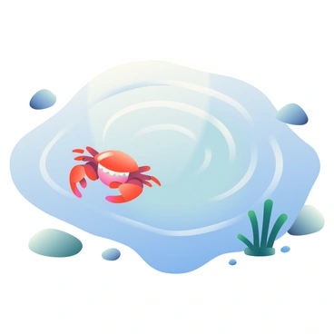 A shallow tide pool occupies the center of the image, its surface reflecting the light of the sun. Ripples are forming in the water, creating circular patterns that disturb the otherwise calm reflection. A small, bright red crab with a glossy shell is scuttling across the surface of the water, its legs creating additional ripples as it moves. Surrounding the tide pool, various smooth pebbles and pieces of seaweed are scattered, adding texture to the scene. The background features soft hues of blue and green, suggesting an underwater environment beneath the clear surface.