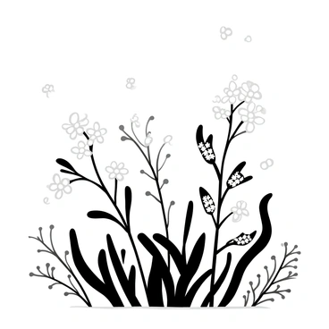 Elderberry plants with delicate branches and clusters of small flowers are emerging through a thick layer of gentle morning mist. The mist swirls around the plants, creating a soft, diffused atmosphere. There are dewdrops on the leaves, glistening subtly in the muted light. The background is filled with a vague outline of other foliage, enhancing the sense of depth in the scene.