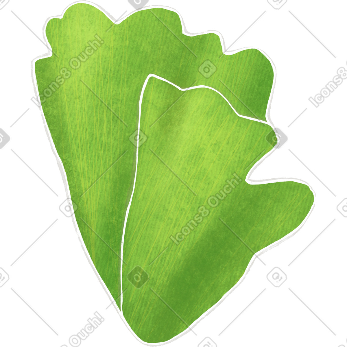 Green curly lettuce illustration in Crafty style download in PNG, SVG