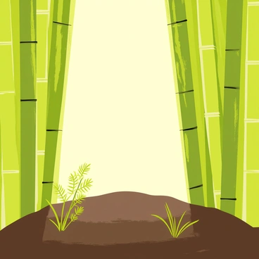 A sunbeam breaking through a dense green bamboo canopy, creating a spotlight effect on a small patch of rich, dark soil below. The sunlight glimmers off tiny droplets of water on the leaves, enhancing the contrast between the bright beam and the shadowy surroundings. Scattered around the illuminated patch are small green ferns and grass, thriving in the warm light. The tall bamboo stalks stand erect, their slender forms creating a natural frame around the scene.