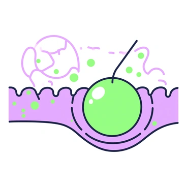 A detailed illustration depicting the process of calcium ions signaling a vesicle to release its contents outside the cell. In the center, there is a vesicle, spherical in shape, positioned near the cell membrane. The cell membrane has small indentations where the vesicle is about to fuse. Surrounding the vesicle, multiple small "calcium ions" are visualized, represented as tiny spheres. These calcium ions are concentrated near the vesicle, indicating their role in the signaling process. The area around the vesicle shows a slight change in texture to signify the tension created as the vesicle prepares to merge with the membrane. A faint outline of the cell structure is visible in the background, providing context to the setting.