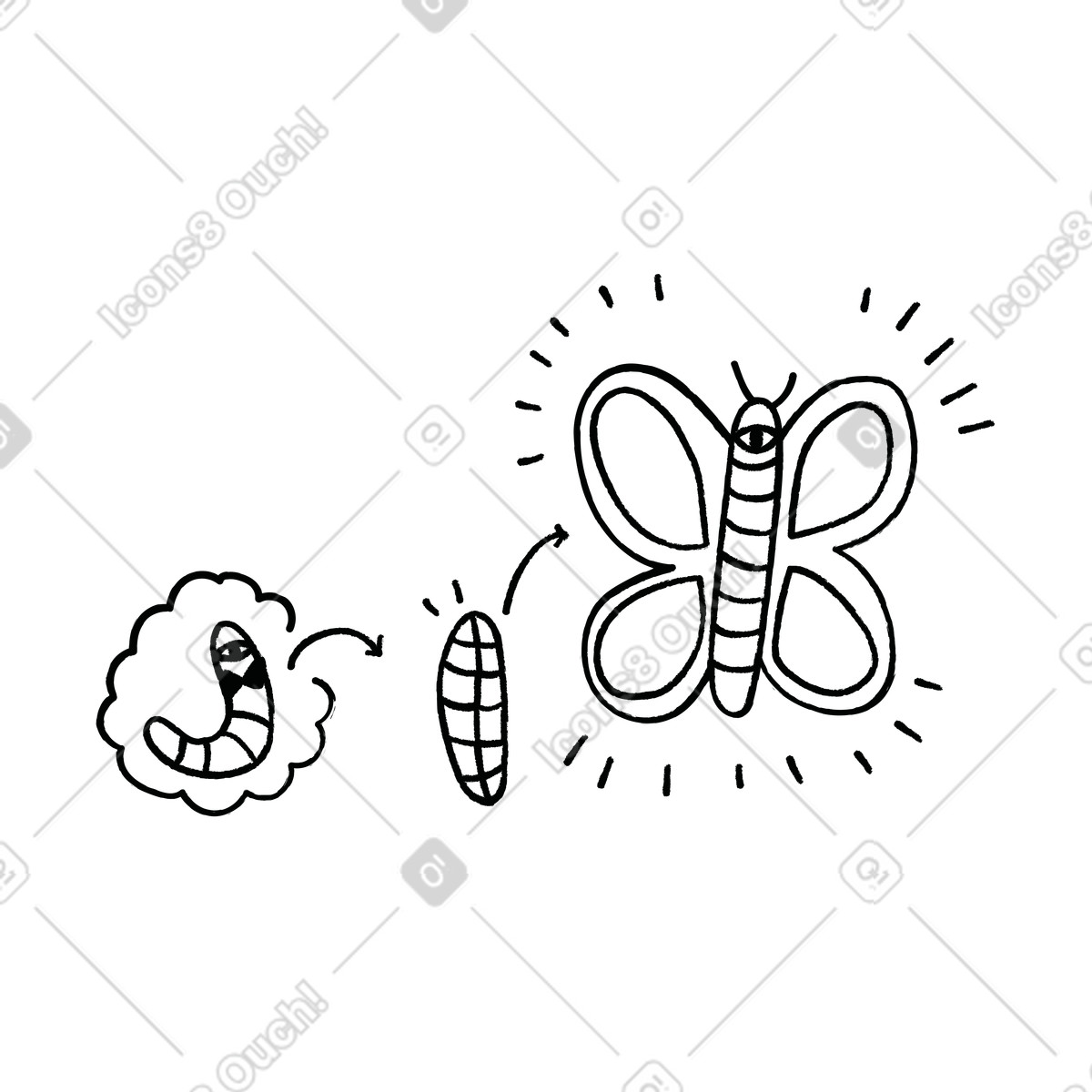下载 Cole 风格的 蝴蝶从毛毛虫到蛹的转变 插画，支持 PNG、SVG 格式