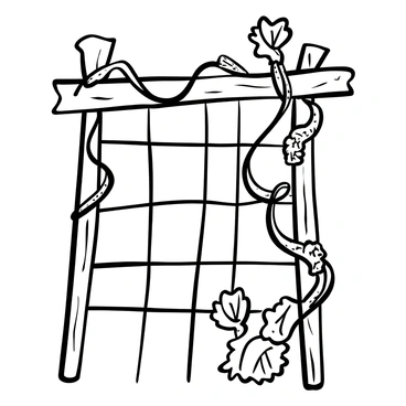 A thick vine with intricate leaves climbing up a sturdy wooden trellis, wrapping around the beams in a graceful manner. The trellis is set against a plain background, emphasizing the vine's progress. The vine has long tendrils reaching upwards, showcasing its determined ascent. The wooden trellis has a rough texture, indicating strength and support. A few leaves are larger and more vibrant, symbolizing the vitality and growth of the plant.