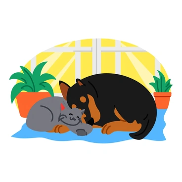 A sleek doberman with a shiny black and tan coat is curled up comfortably on a sunny windowsill. Next to the doberman, a fluffy gray cat is nestled close, with its head resting softly against the dog's side. Sunlight streams through the window, casting warm rays that highlight the fur of both animals. The windowsill is adorned with potted green plants, adding a touch of nature to the scene. The intimate moment captures the peaceful bond between the doberman and the cat as they enjoy a tranquil afternoon nap together.