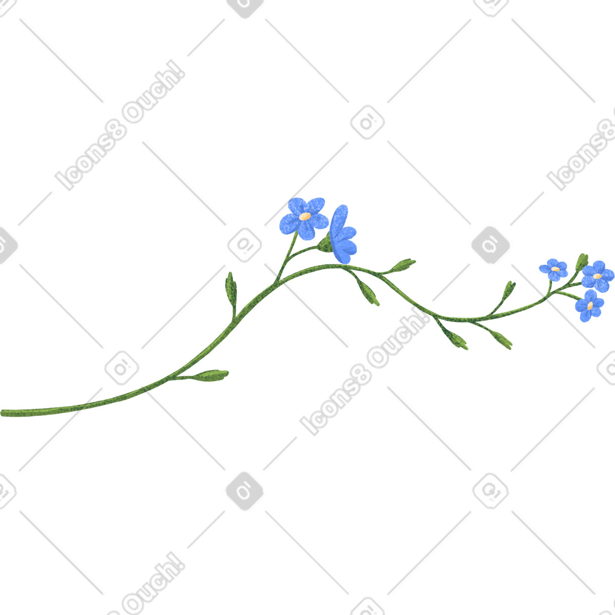 Twig of forget-me-nots illustration in Floral style download in PNG, SVG