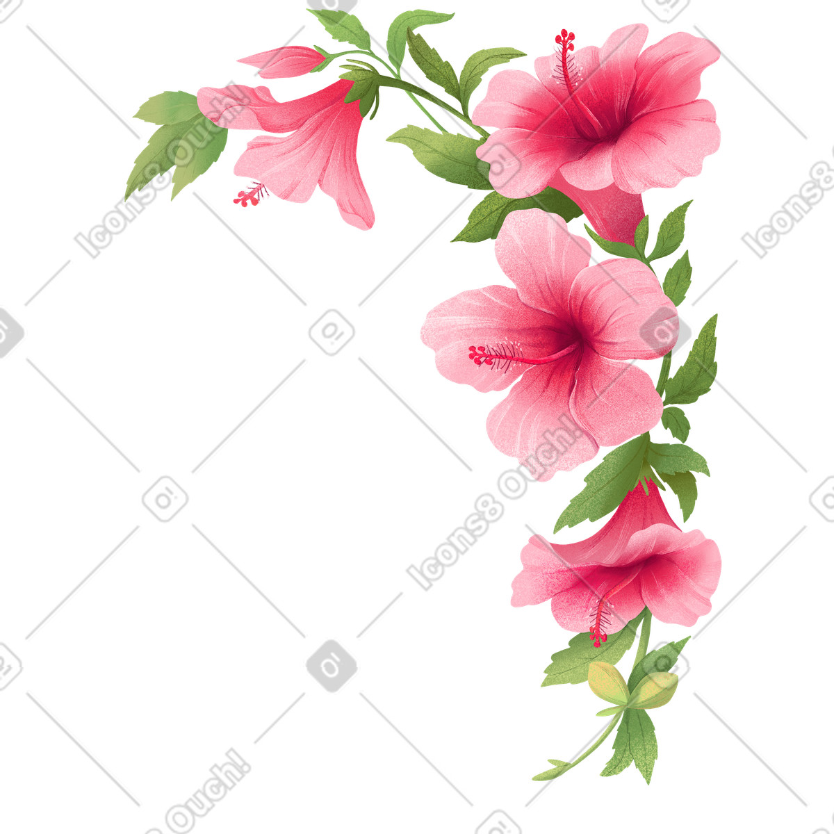 Corner arrangement with pink hibiscus flowers illustration in Floral style download in PNG, SVG