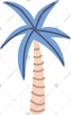 Palm PNG, SVG
