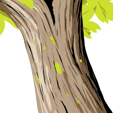 A close-up view of the bark of an apple tree showcasing its rough, textured surface. The bark features a range of colors including deep browns and grays with lighter patches. There are visible grooves and fissures running along the length of the bark, highlighting its unique patterns. Sunlight casts soft shadows, emphasizing the rugged texture of the bark. Small lichen and moss patches can be seen scattered across the surface, adding to the natural detail.