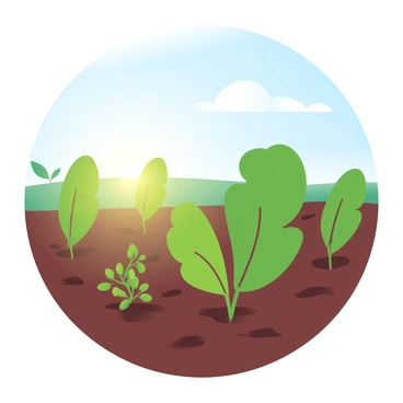 A field of potato plants is growing in rows, their green leaves reaching upwards towards the sky. The sunlight casts a warm glow over the scene, highlighting the vibrant green of the leaves. In the background, a clear blue sky is visible, with a few fluffy clouds drifting by. The earth around the plants is dark brown, freshly tilled and rich in texture. The overall atmosphere conveys a sense of growth and vitality under the bright sun.
