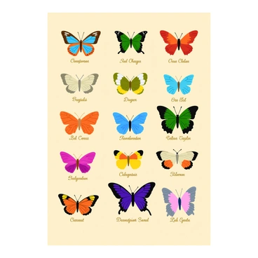 A vintage-style poster displaying a collection of various butterfly species from around the world. The poster features butterflies in different colors, patterns, and sizes, showcasing their unique wing designs. Each butterfly is labeled with its specific name in elegant font beneath it. The background of the poster is a soft beige, giving it an aged appearance, while the butterflies are arranged in an attractive, symmetrical pattern across the poster.