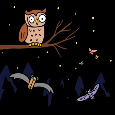 A nighttime scene depicting a food web. A large owl with wide eyes and feathers in shades of brown and white is perched on a branch, looking down intently. Below, a bat with spread wings is flying in the air, and several moths with delicate wings are fluttering nearby. The background is filled with dark silhouettes of trees and a starry sky, enhancing the nighttime atmosphere.