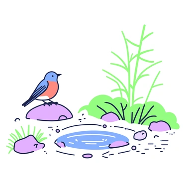 An eastern bluebird resting peacefully in a zen garden with a small water feature