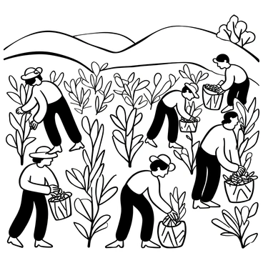 Workers in wide-brimmed hats bending over to carefully pick tea leaves in a lush tea plantation. The plantation is filled with rows of vibrant tea bushes, with large, glossy leaves. In the background, rolling hills and a few trees can be seen, enhancing the natural landscape. Some workers are holding baskets filled with freshly picked leaves, while others continue to harvest. The scene conveys a sense of diligence and connection to the earth.