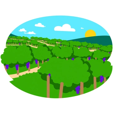 A picturesque hillside covered with vibrant green grapevines stretching across multiple rows. Each row is neatly staked to support the healthy vines that bear clusters of ripe, purple grapes. The sun casts a warm light over the scene, highlighting the rich colors of the foliage. In the background, gentle slopes and a clear blue sky create a tranquil setting, enhancing the beauty of the vineyard.