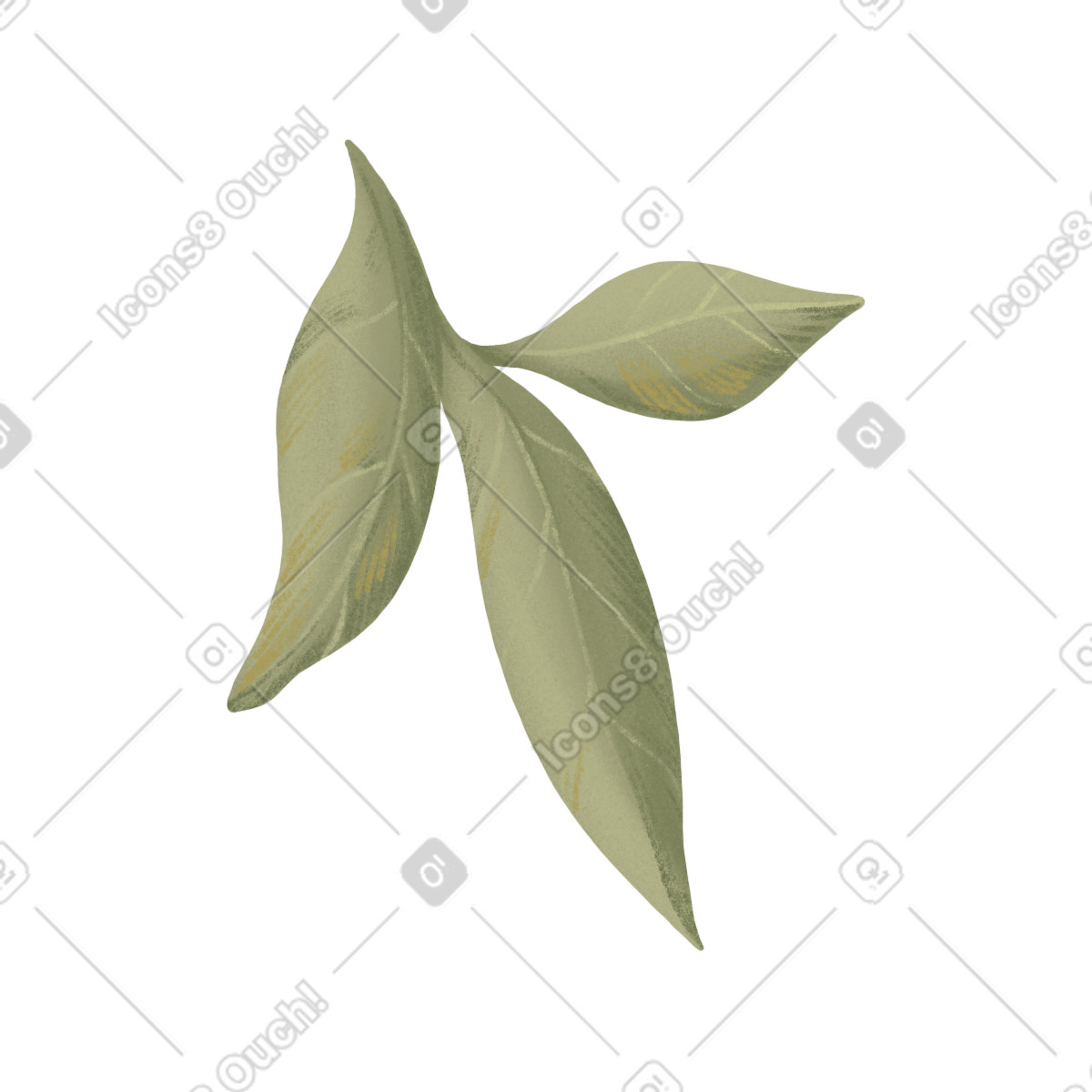 下载 Floral 风格的 绿牡丹叶 插画，支持 PNG、SVG 格式