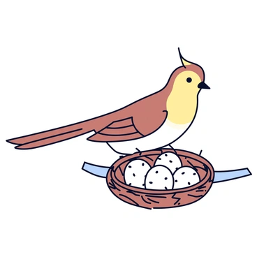 A female fantail bird with a sleek body and long, fanned tail is perched on its nest. The nest is made of twigs and grass, and it rests on a branch. Inside the nest, there are three small, speckled eggs nestled closely together. The fantail has a soft, muted color palette with various shades of brown and white. Its eyes are bright and attentive as it looks down protectively at the eggs.