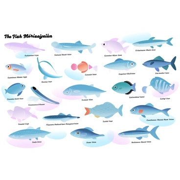 A vintage educational chart features a variety of fish species displayed in detailed illustrations. Each fish is labeled with its common name and scientific name beneath it. The fish are arranged in a grid format, showcasing their unique shapes, colors, and patterns. There are freshwater and saltwater species, including a vibrant clownfish, a sleek swordfish, and a colorful betta fish. The background of the chart is a soft pastel gradient that enhances the overall presentation of the fish.