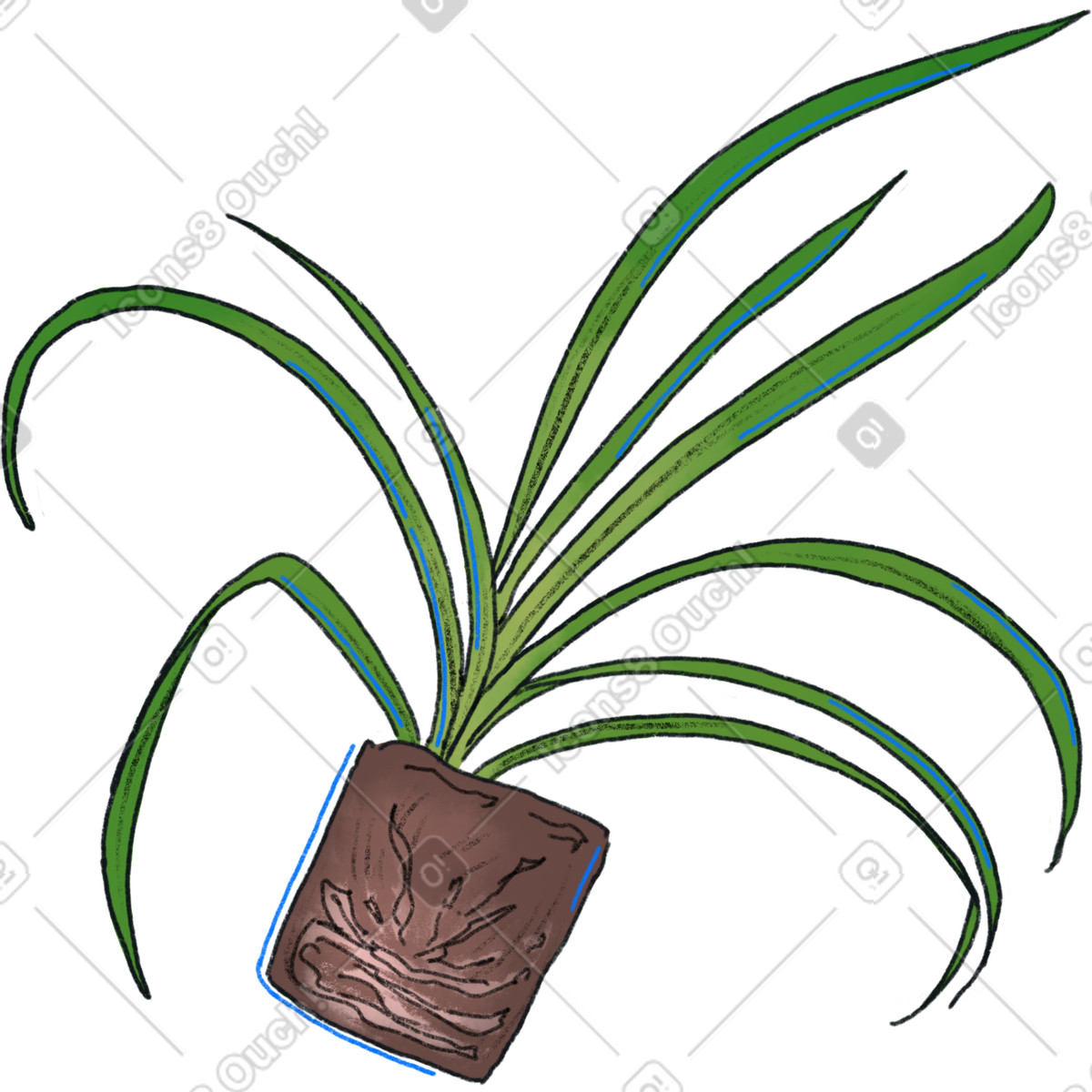 Illustration Plant with long green leaves in soil plug dans le style Moments à télécharger aux formats PNG, SVG