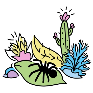 A tarantula with dark brown and orange hairs crawling on a rich green leaf in a botanical garden. Surrounding the tarantula, there are various exotic plants with large, vibrant leaves and colorful flowers. The setting includes a tall, spiky cactus with bright red blooms, and a cluster of tropical ferns with intricate fronds. Sunlight filters through the foliage, casting soft shadows on the ground, creating a lively atmosphere in this diverse plant environment.