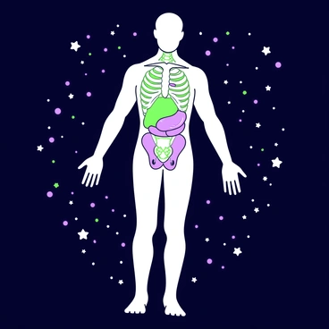 Human anatomy floating in space surrounded by stars