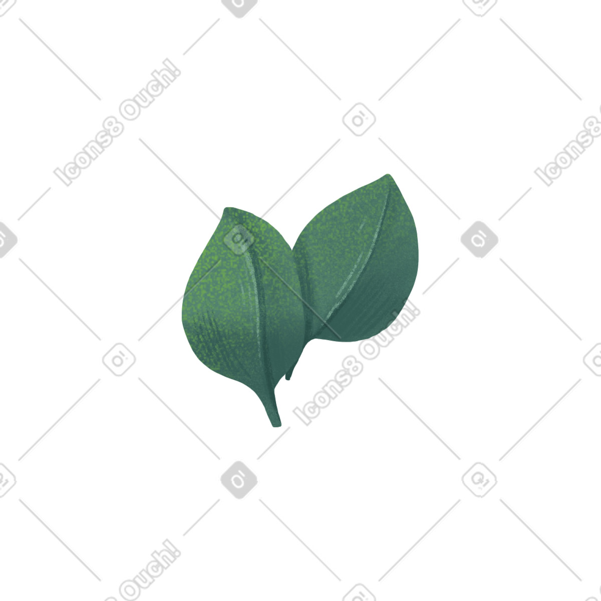 Ilustración Pequeñas hojas de eucalipto en estilo Floral a descargar en PNG y SVG