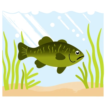 A largemouth bass swimming gracefully through tall green aquatic plants. The bass has a dark greenish body with lighter spots along its sides. Sunlight filters through the water's surface, creating shimmering patterns on the sandy bottom. Various shades of green and brown from the submerged plants create a lush environment. Bubbles rise gently as the fish moves, adding to the lively underwater atmosphere. The scene captures the vibrant life and movement within the aquatic habitat.