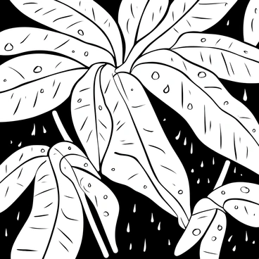 Banana tree