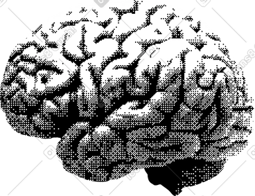 Brain clipart image in PNG, SVG, GIF formats