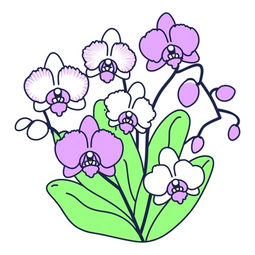 A close-up of a diverse orchid display in a botanical garden. The image focuses on multiple orchids of varying shapes and sizes. Among them, there are orchids with intricate patterns on their petals, including some that have frilled edges. The flowers are positioned at different angles, showcasing their unique features, such as elongated stems and vibrant textures. Green leaves surround the blossoms, providing a lush backdrop. The scene captures the detailed structure of the petals and the subtleties of the plant's growth.