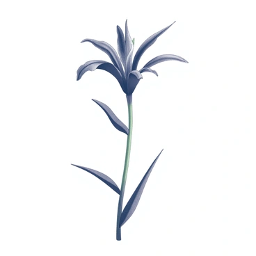 A single exotic flower with black petals. The petals exhibit unusual shapes, some are elongated and curved while others are wide and ruffled. The flower stands upright on a slender green stem with a few sharp, pointed leaves extending from the base. The background is simple, allowing the focus to remain on the intricate details and unique forms of the black flower's petals.