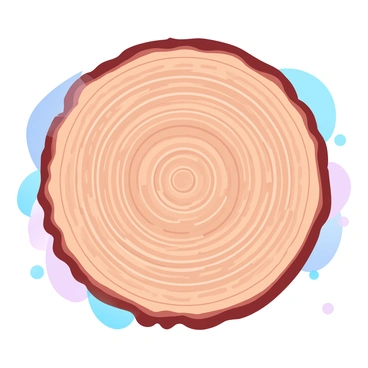 A cross-section of a tree trunk showing concentric rings and distinct wood grain
