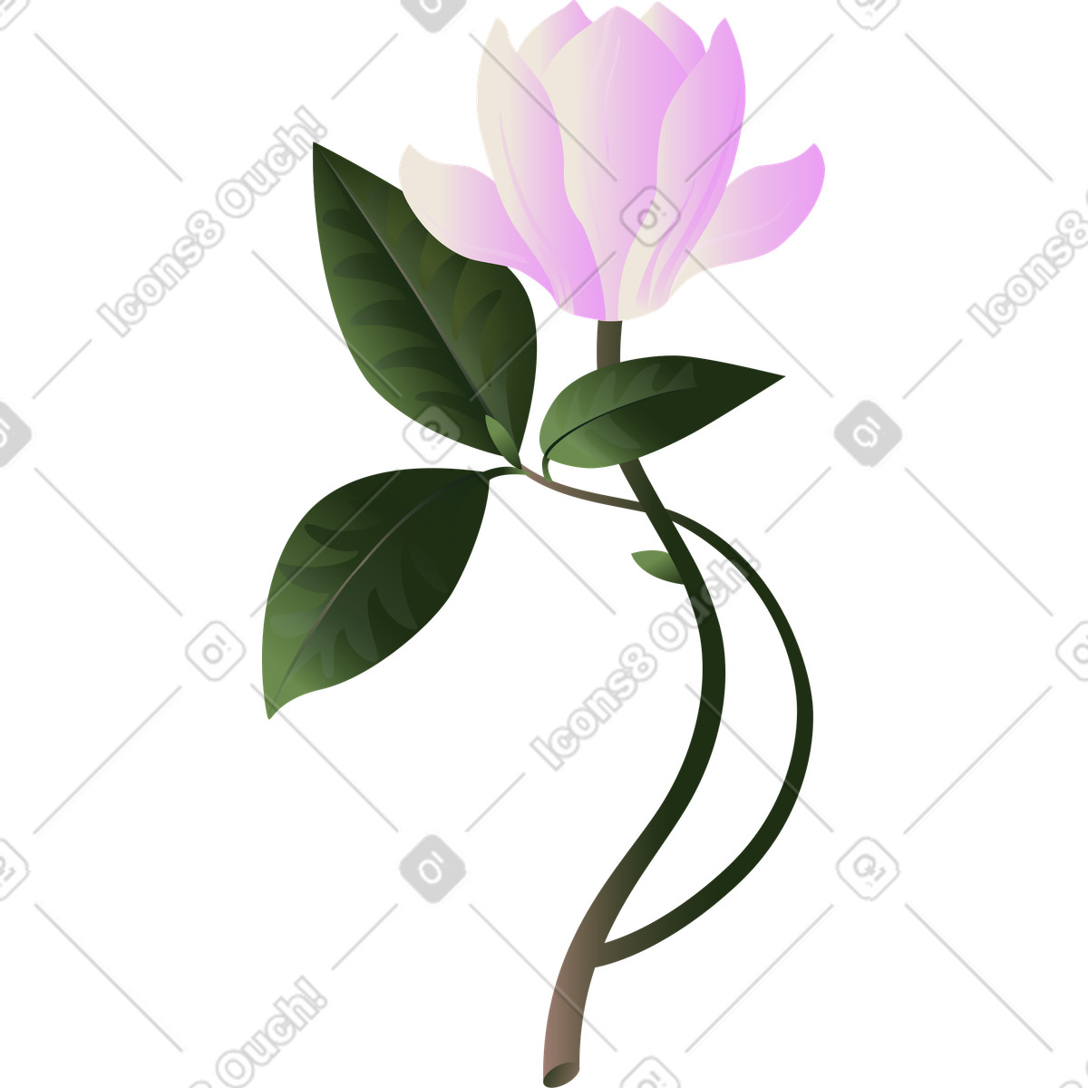 Große rosa magnolienblüte auf einem zweig mit blättern-Illustration im Blossom-Stil als Download in PNG, SVG