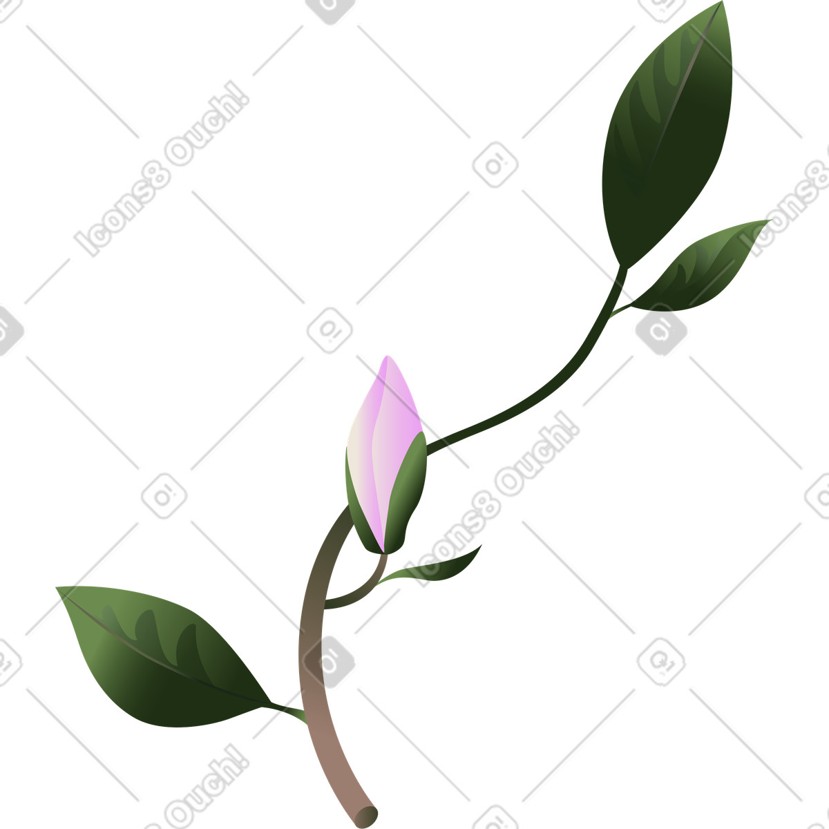 Illustration Brin de magnolia avec un bourgeon dans le style Blossom à télécharger aux formats PNG, SVG