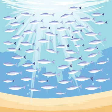 A close-up view of a dense school of anchovies swimming in crystal clear water. The anchovies are small, silver fish with streamlined bodies, reflecting the sunlight as they move in unison. Bubbles rise around the fish, creating ripples in the water. Some anchovies are slightly closer to the viewer, showcasing their distinct forked tails and pointed snouts. The sunlight penetrates the water, illuminating the school and casting shimmering patterns on the sandy ocean floor below.