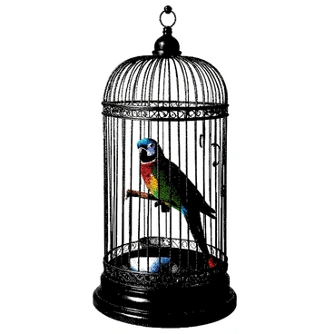 An ornate birdcage is standing on a wooden pedestal. The cage features intricate metalwork with delicate swirls and floral designs, showcasing its craftsmanship. Inside the cage, a rare parrot is perched on a wooden branch. The parrot has vivid patterns on its feathers, including distinct markings around its beak and vibrant accents on its wings. The interior of the cage includes a small dish for food and a water bowl, emphasizing the care for the bird. Sunlight is filtering through the bars of the cage, casting soft shadows on the pedestal below.