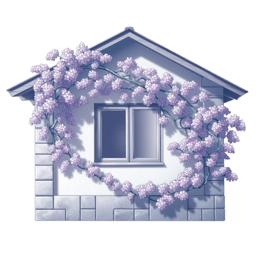 Bougainvillea