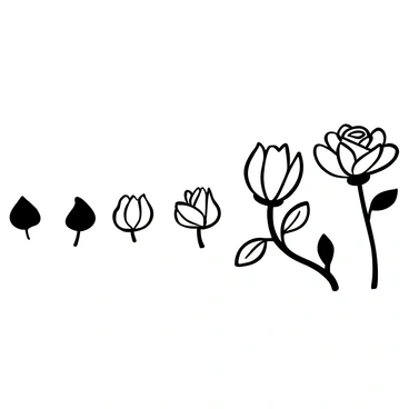 A sequence showing the progression of a rose blooming, starting with a tightly closed bud at the left of the image. Gradually, the rose opens up, with several stages in between, highlighting the petals unfurling and expanding. The fully opened flower is depicted at the right, showcasing its intricate layers and full bloom. Delicate leaves surround the rose, providing additional context to the natural growth process. Each stage is clearly defined, providing a visual narrative of transformation over time.