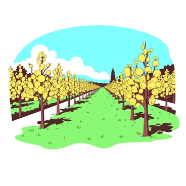 A yellow orchard stretches out under a bright blue sky, featuring neatly arranged rows of fruit trees. Each tree is adorned with small white buds, indicating the early signs of spring. The ground is a vibrant green, with patches of grass peeking between the rows of trees. The buds hang delicately from the branches, creating a soft contrast against the yellow bark of the trees. Some trees are slightly taller, adding depth to the landscape, while the sunlight casts gentle shadows across the orchard.