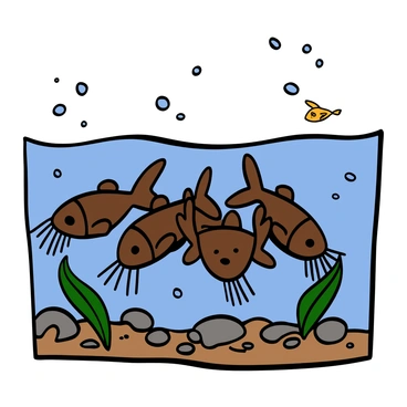 A group of several catfish swimming closely together at the bottom of a clear pond. The catfish have smooth, dark brown skin and whisker-like barbs extending from their snouts. The pond floor is covered with pebbles and patches of green aquatic plants, with soft light filtering through the water from above. Bubbles rise to the surface, and there are hints of other small fish swimming in the background.