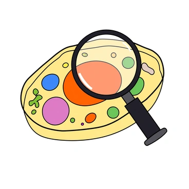 An illustration of an animal cell, showcasing its various components. The cell membrane is a smooth, rounded shape surrounding the cell's contents. Inside, there are several organelles, including ribosomes, mitochondria, and the endoplasmic reticulum, all depicted in different colors and shapes. A large, prominent nucleus is located at the center of the cell, highlighted by a magnifying glass that is positioned directly above it. The magnifying glass shows the intricate details of the nucleus, including the nuclear membrane and nucleolus. The background is simple to emphasize the cell structure and the magnifying glass effect.