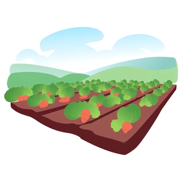 A farmer's field is filled with neatly organized rows of vibrant green vegetables. Each row features a different type of vegetable, such as leafy lettuce and bright orange carrots emerging from the soil. The field stretches out under a "clear blue sky," which enhances the colors of the vegetables. In the background, there are gentle rolling hills, adding depth to the landscape. There are patches of sunlight illuminating the various plants, showcasing their healthy growth.